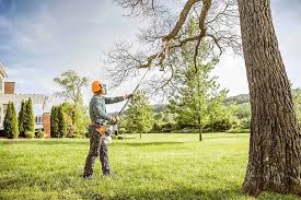 Best Lawn Drainage Solutions  in Monona, WI